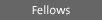 Fellows