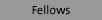 Fellows